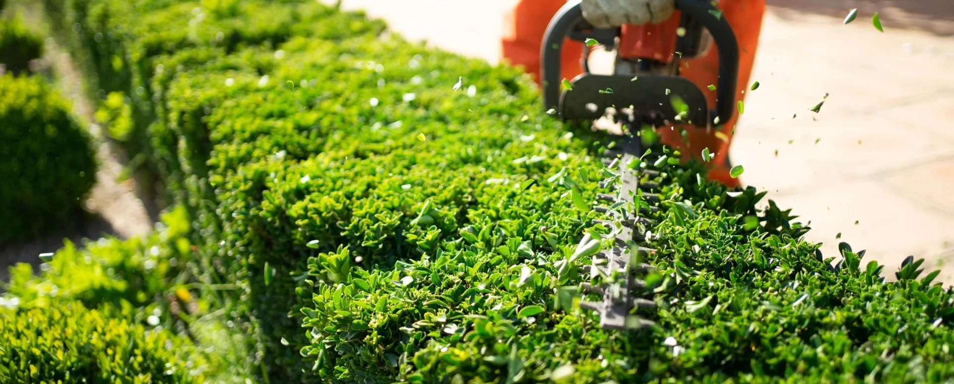 Garden Tool Battery Solutions